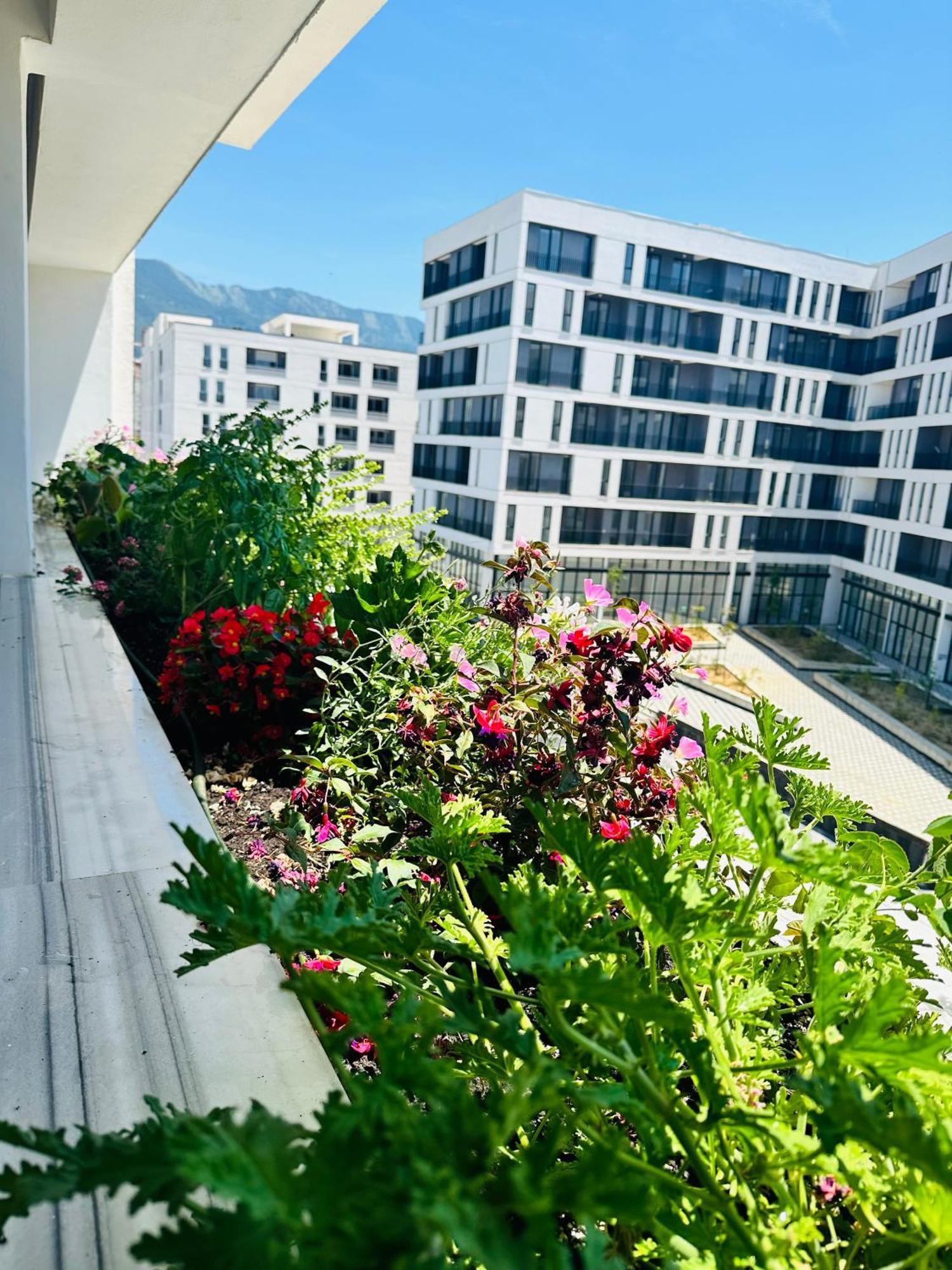 Family Apartment Тирана Экстерьер фото